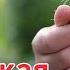 Маленькая гостья ИНТЕРЕСНЫЙ РАССКАЗ Христианские рассказы рассказы