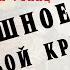 Страшное дело кровавой красавицы Иван Путилин Из книги 40 лет среди грабителей и убийц