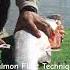 Salmon Fillet Technique With Fish Em LLC Alaska Fishing Salmon