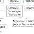 Побочные эффекты психотропных средств Нарушение сексуальных функций