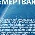 В МАЙСТРЕНКО МЁРТВАЯ ХОРОШАЯ ИМПЕРИЯ