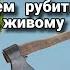 Альфа и Омега войны в Украине чаплыга войнаукраина россияукраина