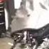 CMC Motorsports 2019 Street Glide Carlini Menace Apes W EL REY Backrest