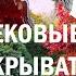 Первооткрыватели Средневековья Рубрук Афанасий Никитин Марко Поло
