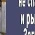 Пес несколько дней не спал в своей будке и рычал на хозяев Заглянули внутрь и побледнели