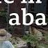 Why Are There Millions Of Empty Houses In Japan The Global Story Podcast BBC World Service