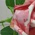 DIY MONEY ROSE VALENTINES GIFT IDEA Flower Bouquet Shara S DIY