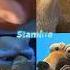 Manny Vs Sid Vs Diego Vs Scrat 2023 Edition Edit Meme Disney Bluesky Iceage