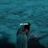 Diamonds Rihanna Lyrics Aesthetic English Songs Slowed Whatsapp Status Speed Up