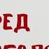 Как уменьшить вред алкоголя Доктор Лисенкова