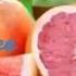 THE GRAPEFRUIT SONG Grape Technique Remix