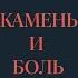 Аудиокнига Карел Шульц Камень и боль Часть 1 В садах медицейских читает Вячеслав Герасимов