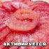 DON T EAT RAW TOMATOES