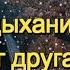 Елена Соболева и Пётр Лысенко МЫ ДЫХАНИЕМ ДРУГ ДРУГА СОГРЕВАЕМ КРАСИВАЯ И СВЕТЛАЯ ПЕСНЯ О ЛЮБВИ