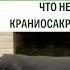 Краниосакральная терапия Почему я больше не работаю этим методом