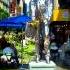 Alex M O R P H New York City Radio Edit By Beats Of Euphoria