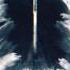 Hans Zimmer Interstellar Movie Theme Lelectrolab Remix