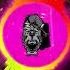 Rolling In The Deep Adele TikTok Remix Phonk Version