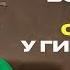 Гинеколог о ПМС контрацепции цистите и половом воспитании