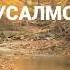 ХОЧИ МИРЗО МУСАЛМОН