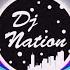 DJ LOVE THE WAY YOU LIE TIK TOK VIRAL MIX DJ Nation Remix