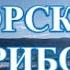 МАГИЧЕСКИЙ ШУМ МОРЯ и КРАСИВАЯ МУЗЫКА ДЛЯ РЕЛАКСАЦИИ УДОВОЛЬСТВИЯ СЛАДКОГО СНА Bulgaria MobyLife