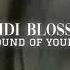 Midi Blosso The Sound Of Your Fear Slowed Reverb