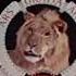 Metro Goldwyn Mayer 1973