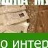 Мой отзыв на интернет магазин семян Травушка муравушка Обзор покупки