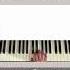 Как читать ноты изучение нот на фортепиано пианино Piano Short Shorts