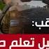 الرقب إسرائيل تعلم جيدا صعوبة الدخول في حرب برية مع حزب الله الذي أعاد ترتيب صفوفه