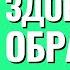 Иди за Солнцем следом С чего начинать здоровый образ жизни Торсунов лекции