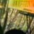The Thrillseekers Feat Sheryl Dean Synaesthesia Live 2001