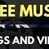 Free Music For Vlogs NOWË Just Some Melodies