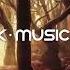 Woods Of Imagination By Alexander Nakarada Cinematic Fantasy Celtic Free Stock Music Com