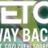 Vicetone Way Back Ft Cozi Zuehlsdorff Lyric Video