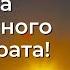 Точка жизненного невозврата Торсунов лекции