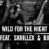 A AP ROCKY Wild For The Night Feat Skrillex Birdy Nam Nam