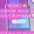 Money Marimba Remix