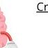 Cranial Nerves MADE EASY Mnemonic Tricks For Their Names Function