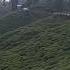 Kurseong Hanuman Top View Whatsappstatus Sayan