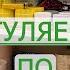 Гуляем по магазинам Поиск горшков и цветочных новинок