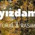 TURAL RASIM PAYIZDAMI Official Lyric Video