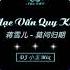 Mạc Vấn Quy Kỳ 莫问归期 蒋雪儿 DJ 小玉 Remix TikTok