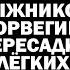 Академик А Чучалин об астме норвежских лыжников пересадке лёгких и медицинских газах ЗАУГЛОМ