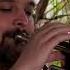 Eagle Rock Daddy Cool Oompah Cover