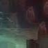Infected Muchrooms Change The Formality Slowed
