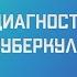 Диагностика туберкулёза Лекция для студента и практикующего врача
