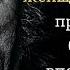 Избранные афоризмы Аркадия Давидовича Цитаты и лучшие высказывания