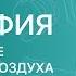 ГЕОГРАФИЯ 7 класс Распределение температуры воздуха и осадков на Земле Воздушные массы